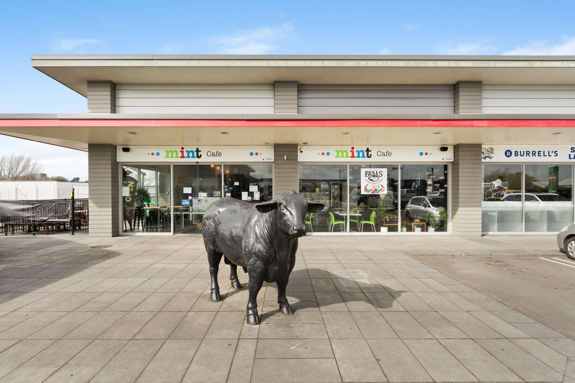 Address withheld Bulls_0