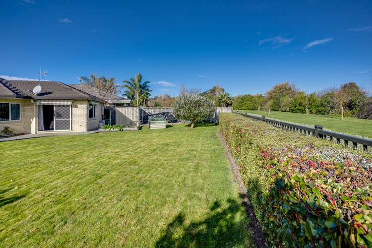 14 Fairview Place Havelock North_17