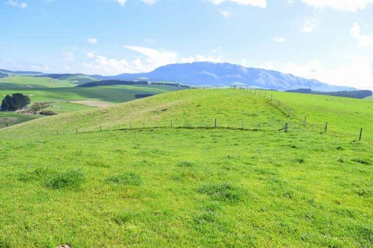 278 Brodies Road Broomfield_1