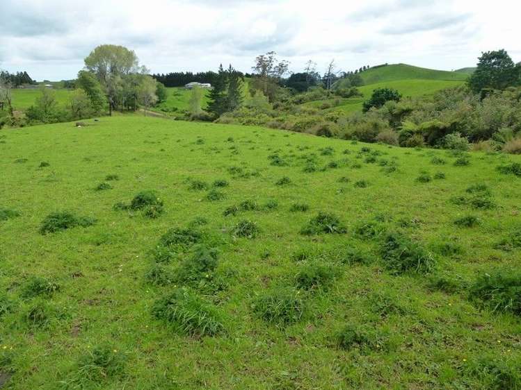 1265 Mountain Road Inglewood_10