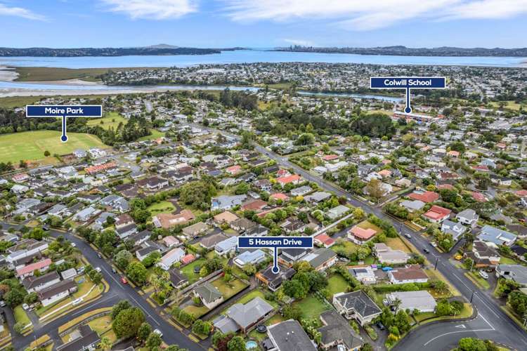 5 Hassan Drive Massey_18