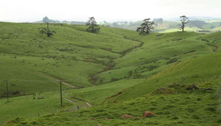 State Highway One Taupo_7