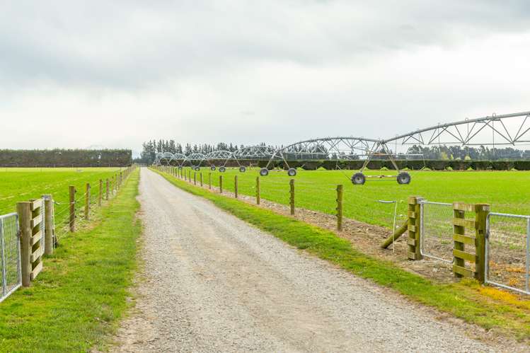 684 Telegraph Road Selwyn_7