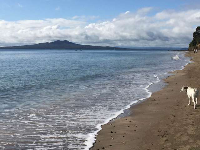 16C Hastings Road Mairangi Bay_1