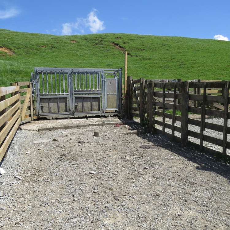 Kahuwera Road Piopio_10