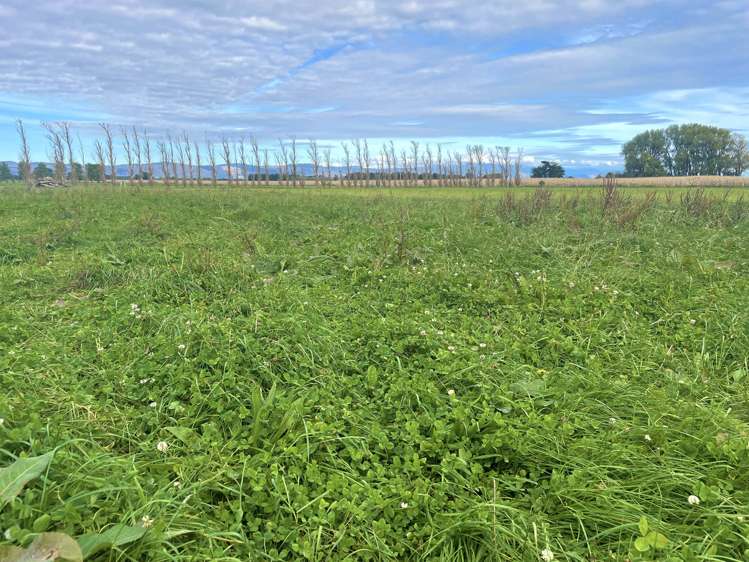 Oroua Road Kairanga_9