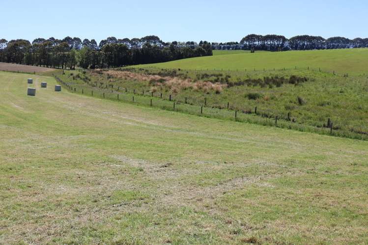 878 Downs Road Edendale_18