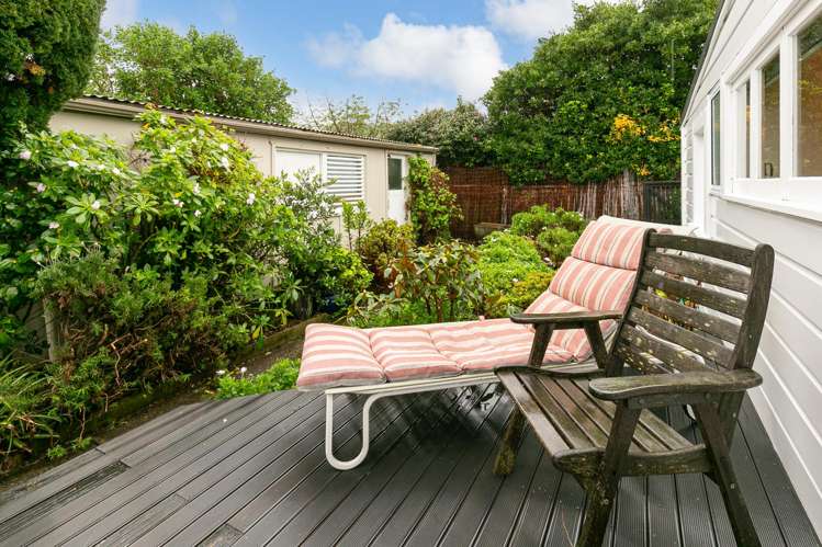 23 Brussels Street Miramar_17