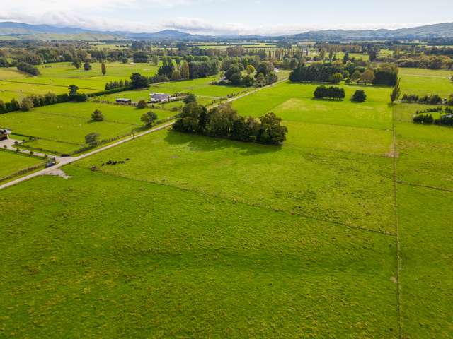 Budd Road Masterton_3