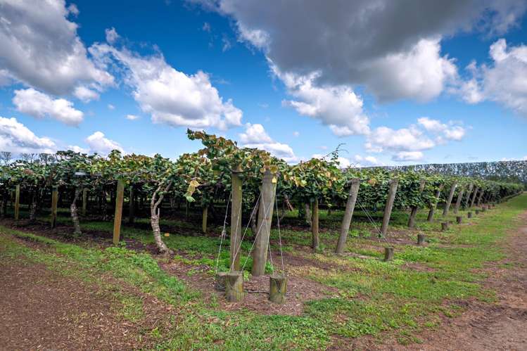 469 Western Drain Road Edgecumbe_14