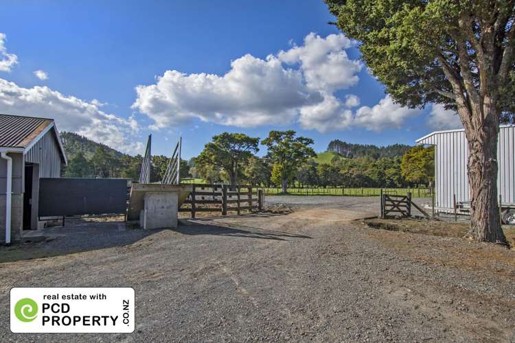 243 Harris Road Glenbervie_13