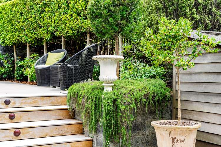 2 Lapilli Lane Stonefields_29