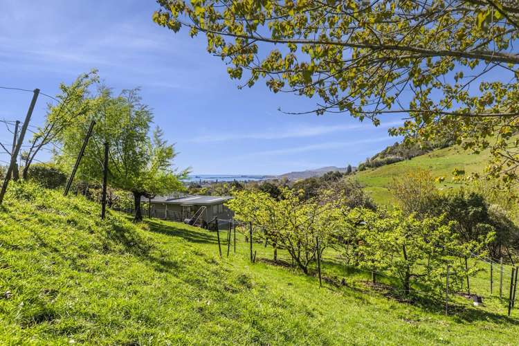 583 Hill Street South Hope_29