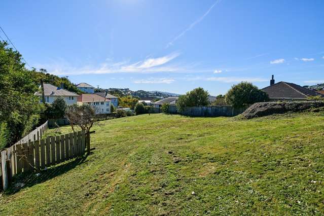 40 and 42 Fraser Avenue Johnsonville_3