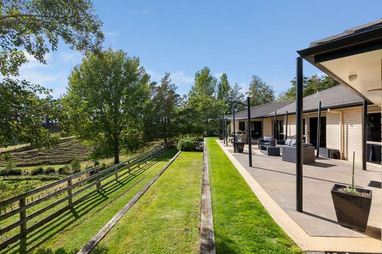 173 Dorset Road Hillsborough_19