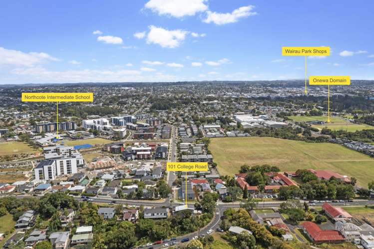 101 College Road Northcote_26