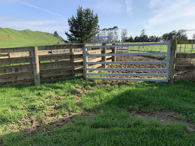 895 Bird Road Stratford_11