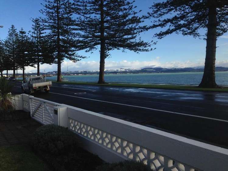 70 Hardinge Road Ahuriri_20