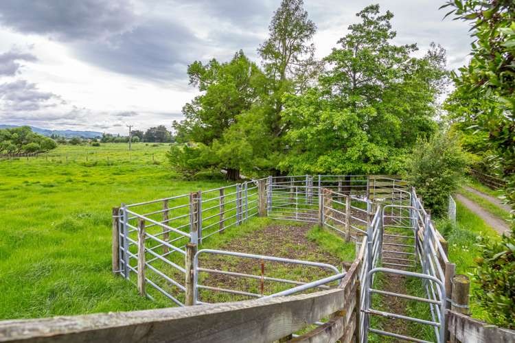 181 Park Road Carterton_13