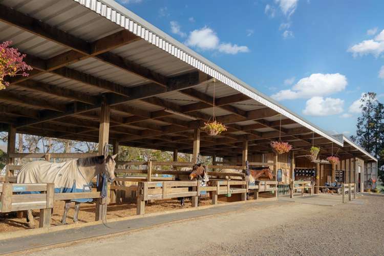 124 Rimmer Road Helensville_1