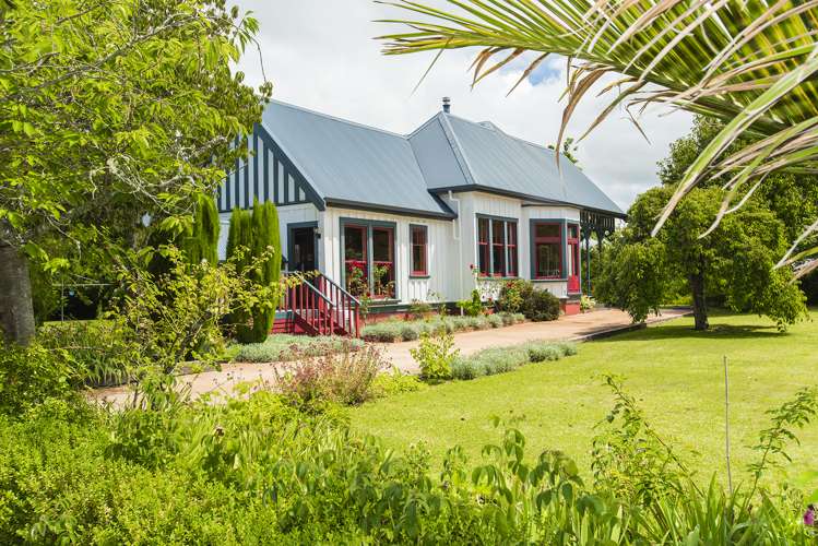 9 Seymour Road Inner Kaiti_6