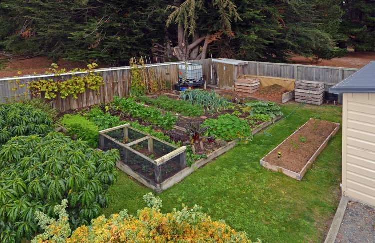 56 Harwood Street Harwood_16