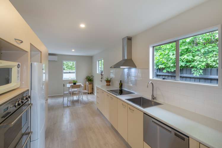 11 Hutcheson Street Sydenham_6