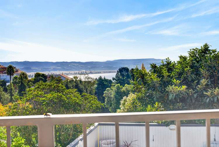 14A Selwyn Road Hospital Hill_26