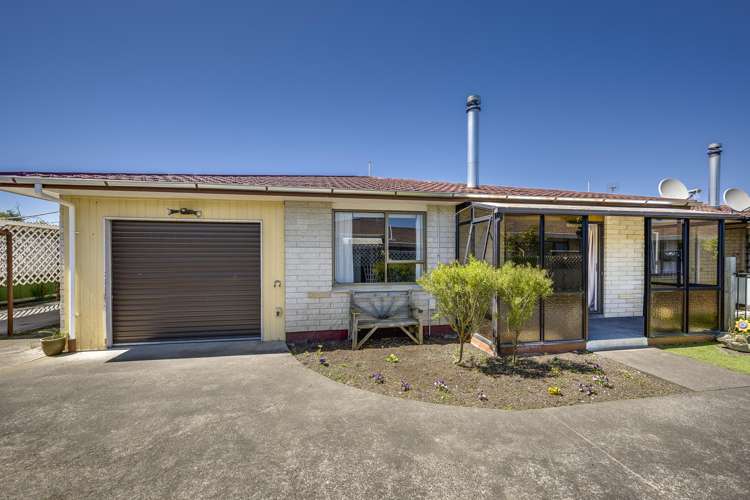 3/403 Avenue Road West Hastings Central_10