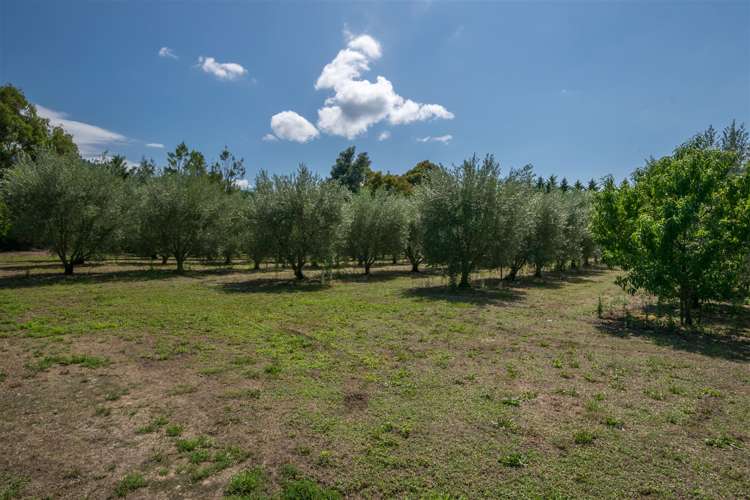 16 Beatrice Street Rarangi_32