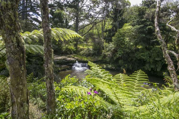 1073 Peak Road Helensville_17