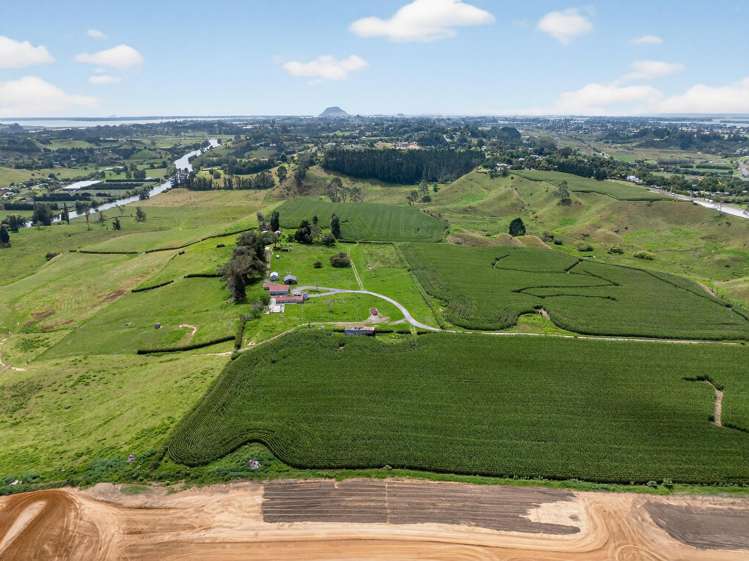 764 SH 29 Ferncliffe Farm Tauriko_6