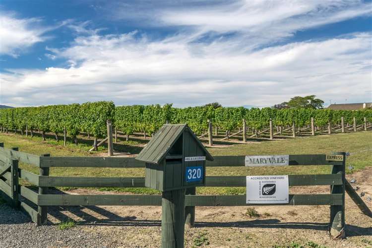 320 Old Renwick Road Springlands_18