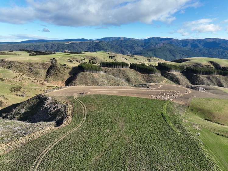 168 Remarkable Road Lawrence_16