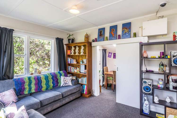 17 Irvine Street Aro Valley_5
