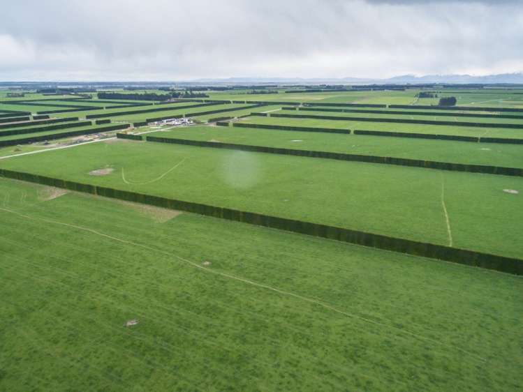 46 Mitchells Road Bankside_3