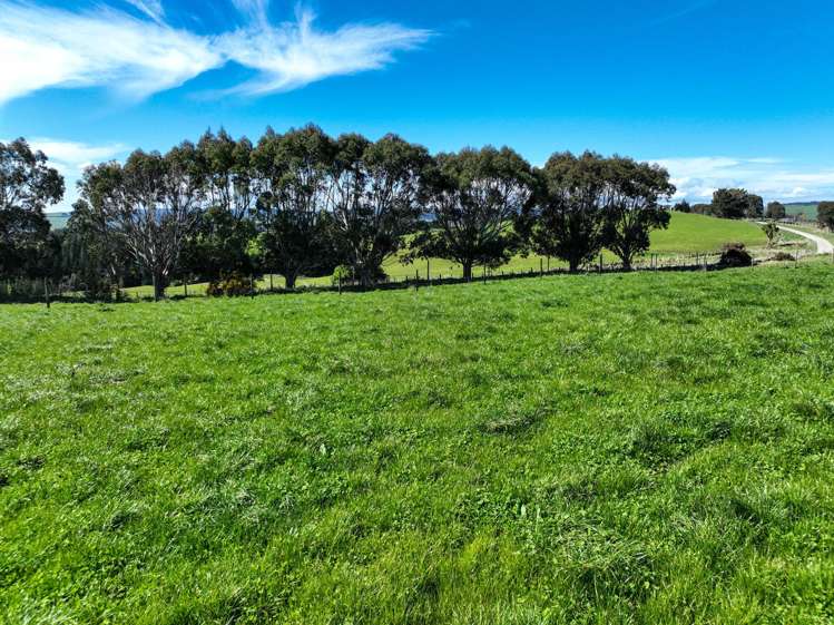 300 Jacks Hill Road Waimahaka_2