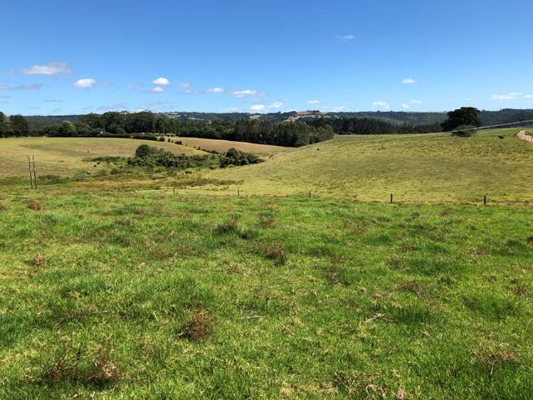 Te Ahu Ahu Road Waimate North_7