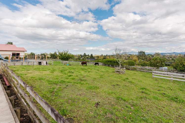 51a Mason Road Whatawhata_19