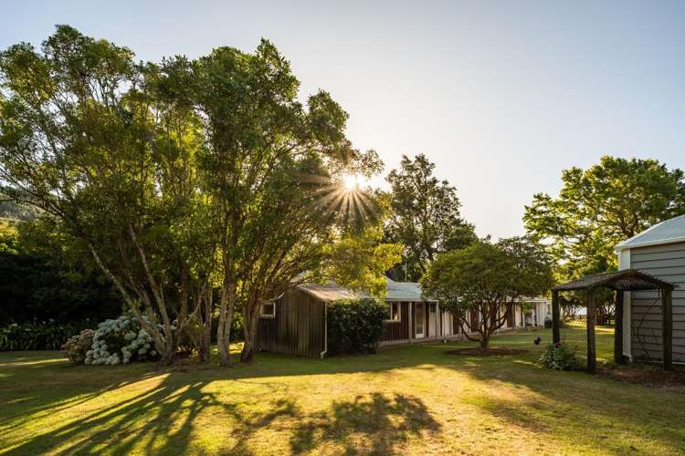1024/1028 Elie Bay Road Pelorus Sound_13