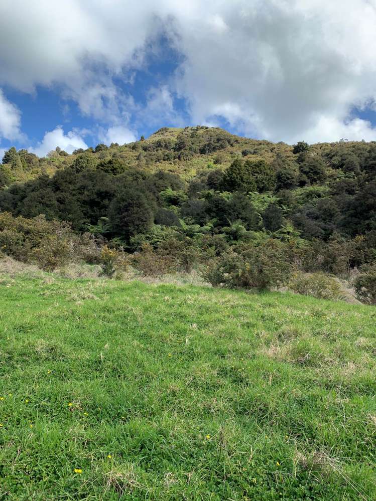 297a Wilson Road Wellsford_5