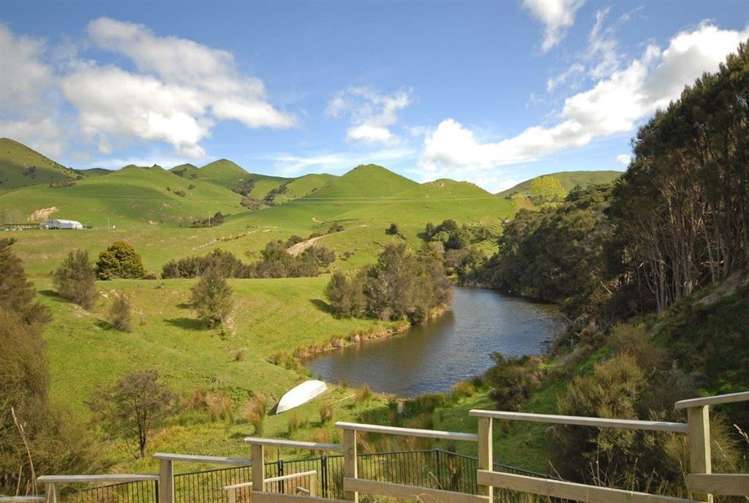 599a Longbush Road Hinakura_15