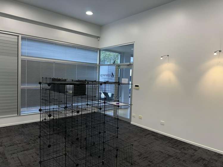 26 Queen Street New Plymouth_9