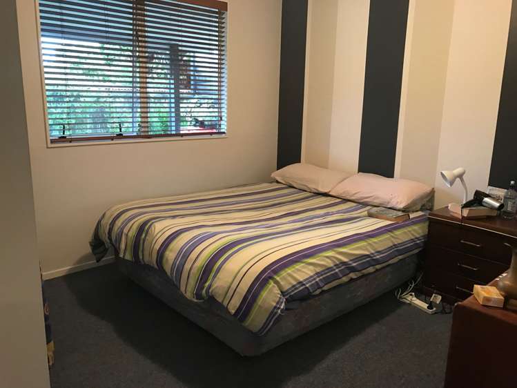 8a Galbraith Street Springfield_6