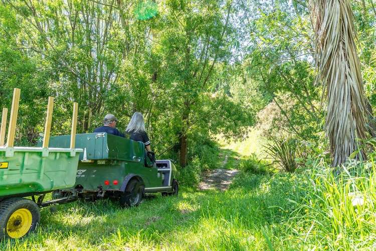 253A Kokotau Road Kokotau_45