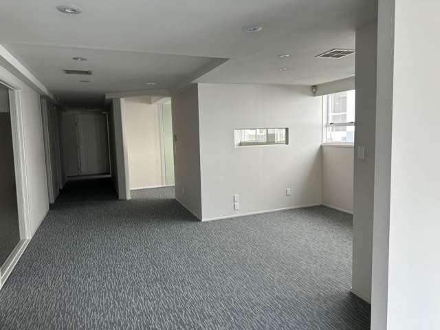 51 Randolph Street Eden Terrace_3