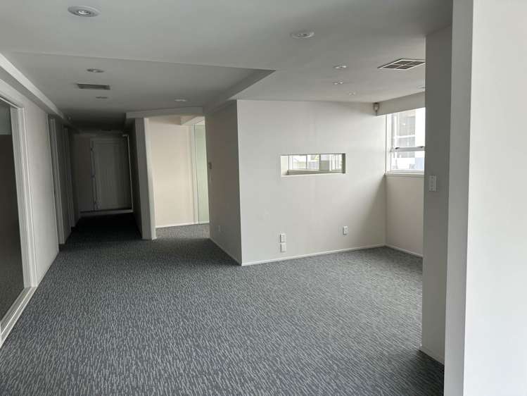 51 Randolph Street Eden Terrace_3