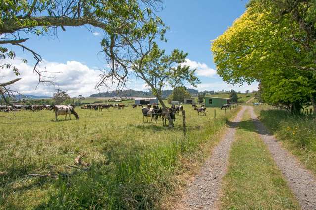 305 Waihi Beach Road Waihi_3