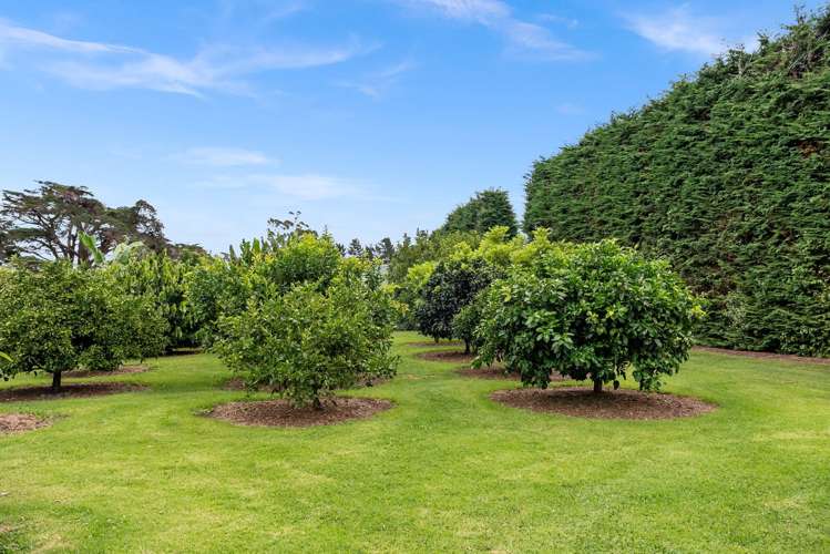 68 Snooks Road Maungatapere_22