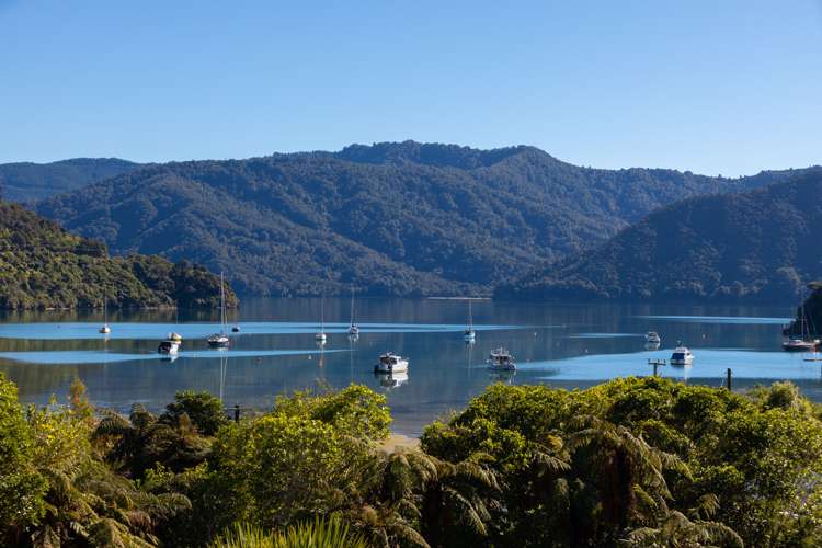 2369 Queen Charlotte Drive Anakiwa and Surrounds_13